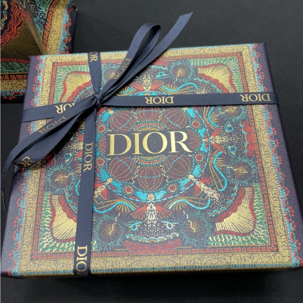 Christian Dior AirPod Pro zip case with strap Oblique Canvas
